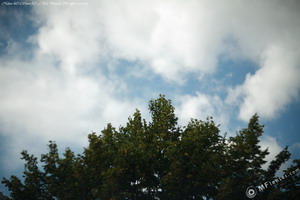 Helios-40-2 85mm f1.5