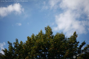 Carl Zeiss Planar 85mm f1.4