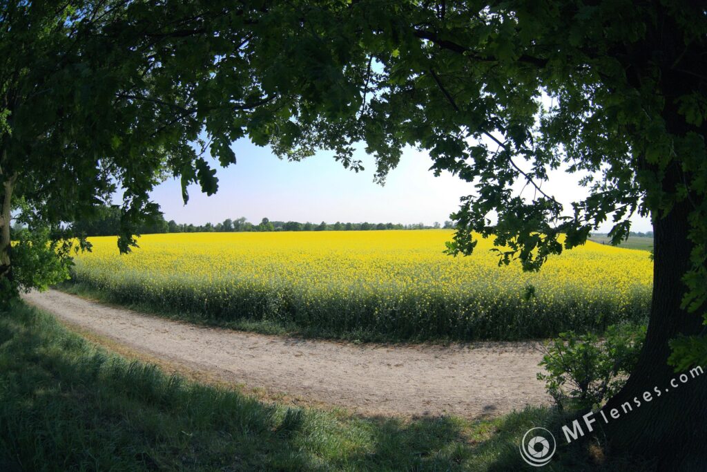 MC-Zenitar 16mm f/2.8 fisheye-2045