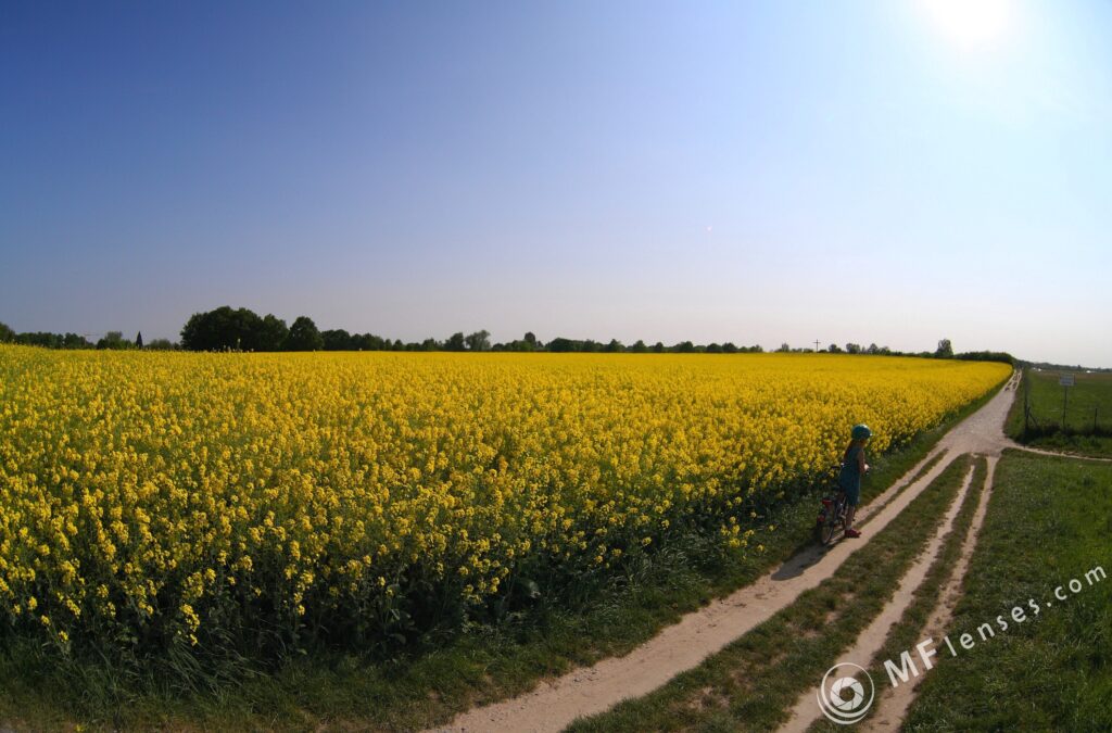 MC-Zenitar 16mm f/2.8 fisheye-2046