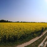 MC-Zenitar 16mm f/2.8 fisheye-2046