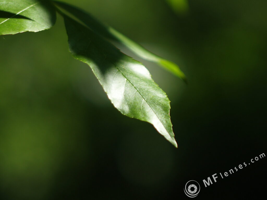 Vega-12B 90mm f/2.8-2109