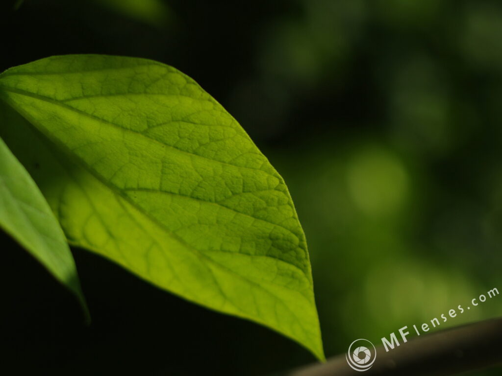 Vega-12B 90mm f/2.8-2111
