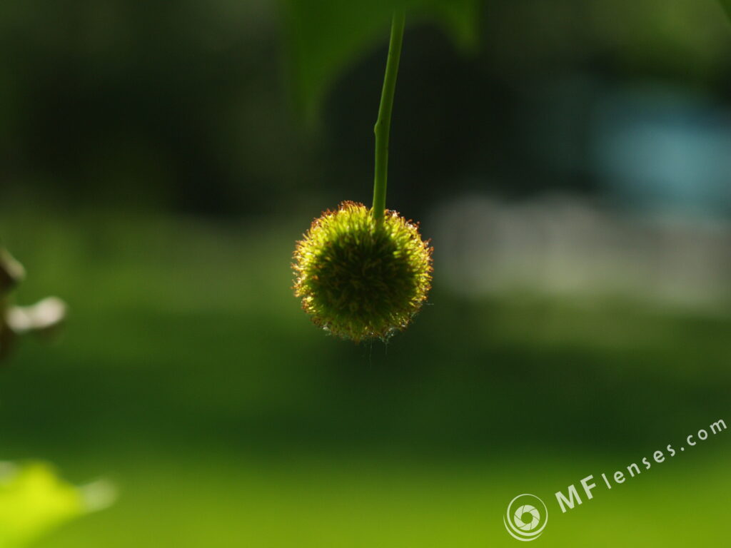 Vega-12B 90mm f/2.8-2117