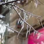 Zenitar 50mm f1.9 MC M42-12681